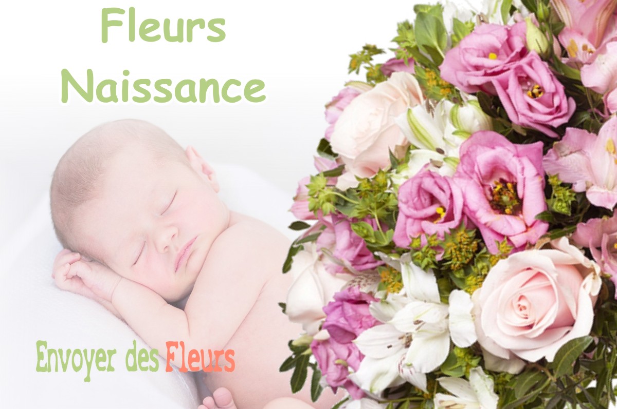 lIVRAISON FLEURS NAISSANCE à VALBONNAIS